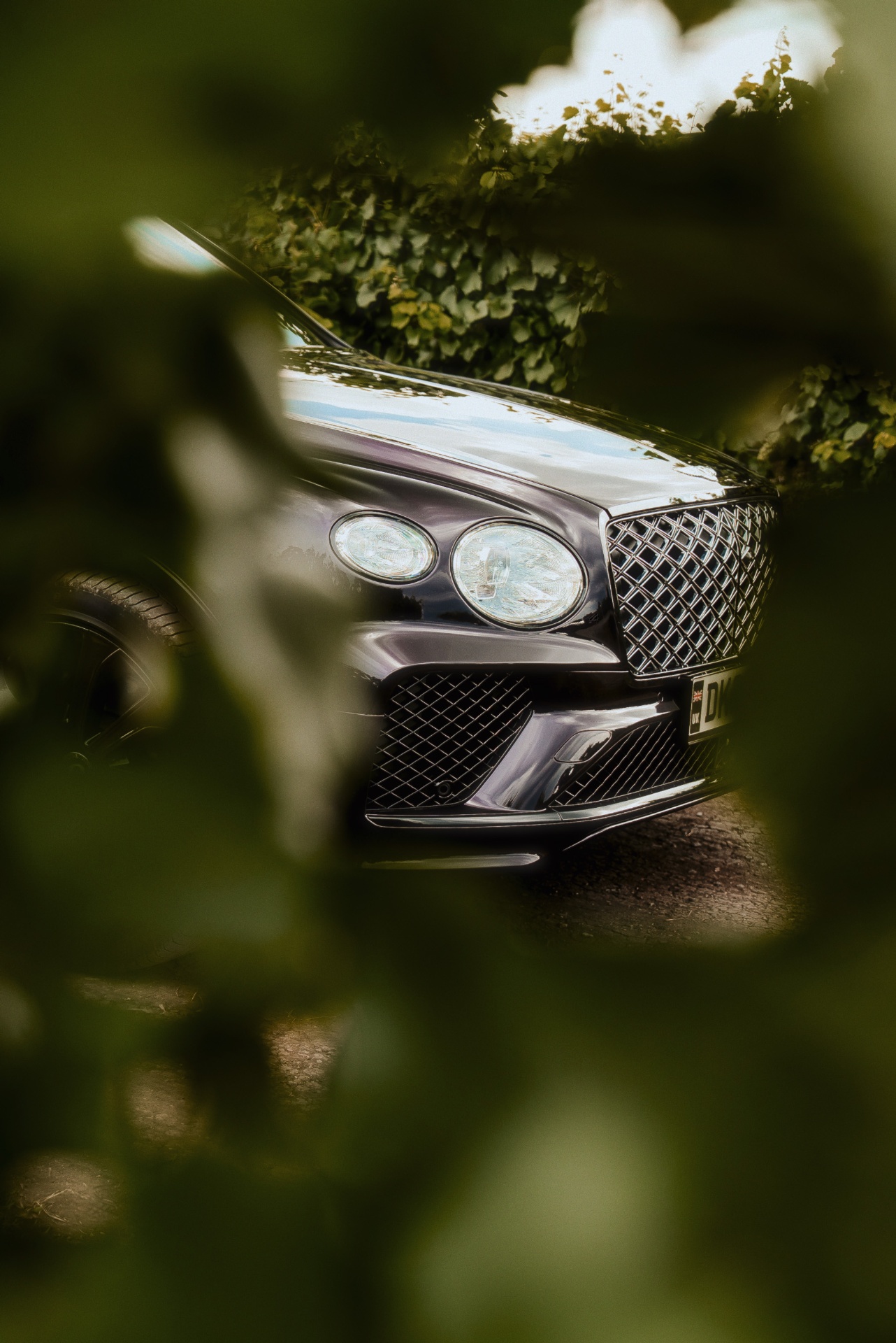 Bentley front grille framed through vineyard leaves at Issa Resort