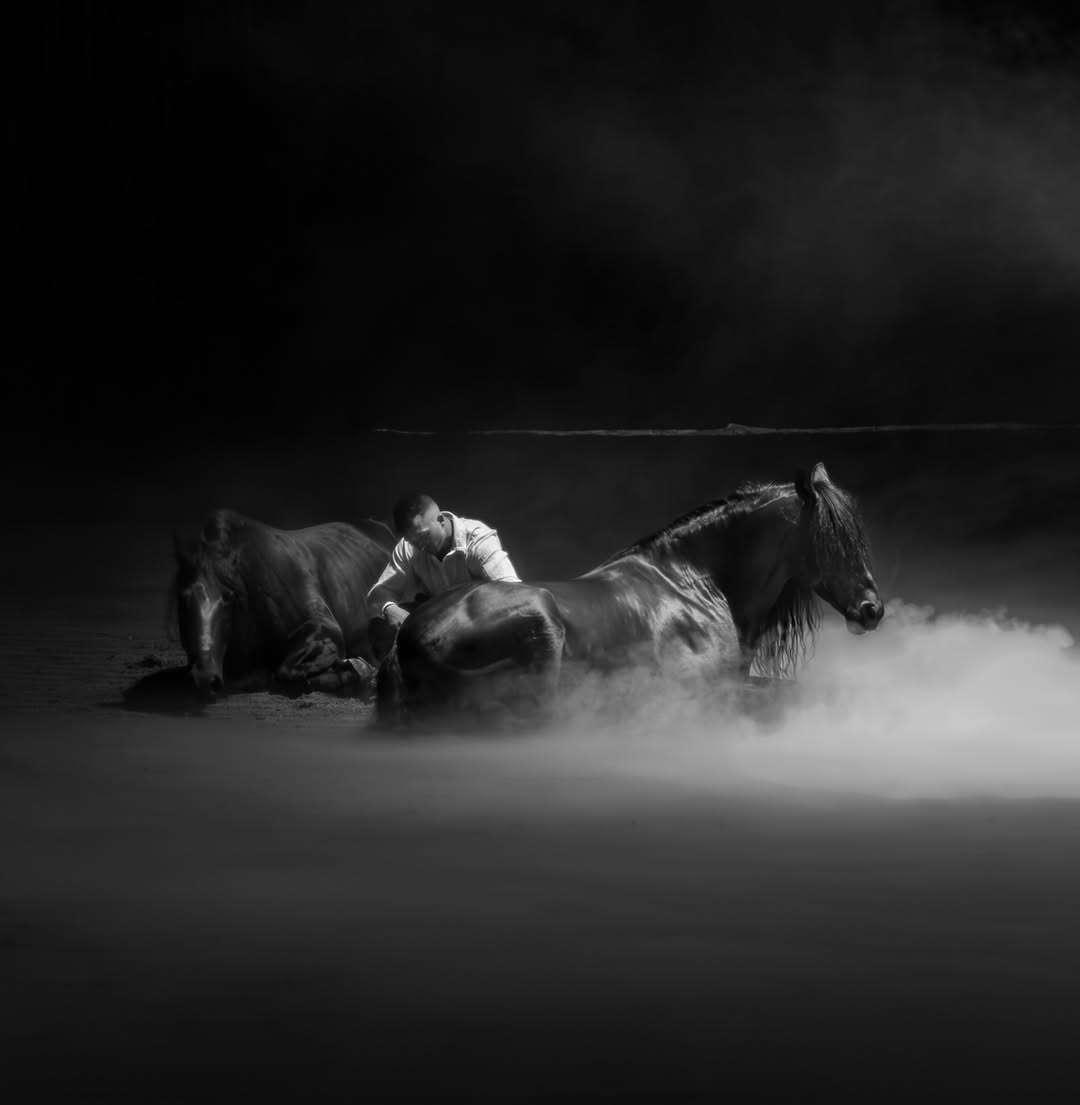 Horses · black & white