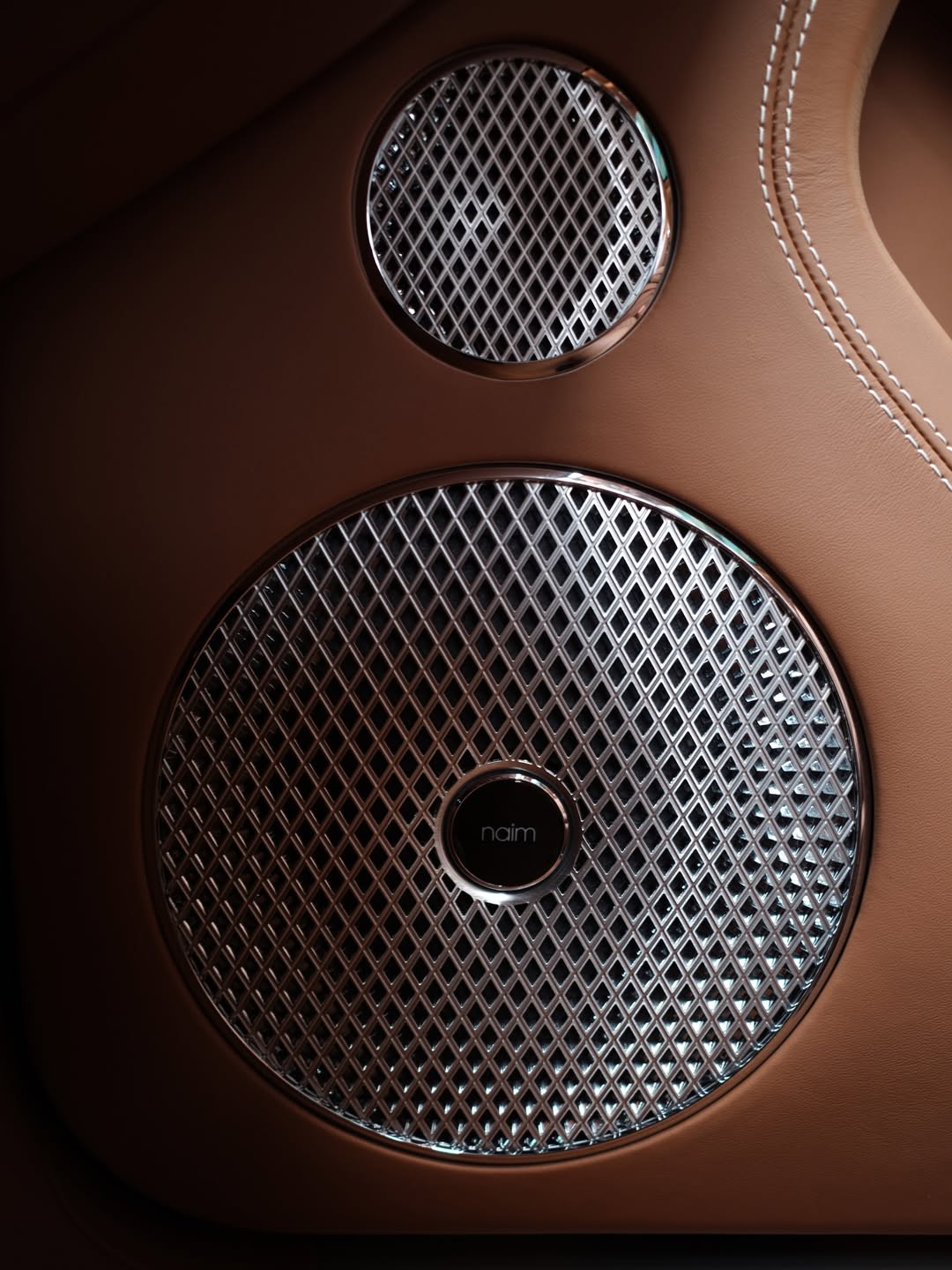 Naim speaker detail
