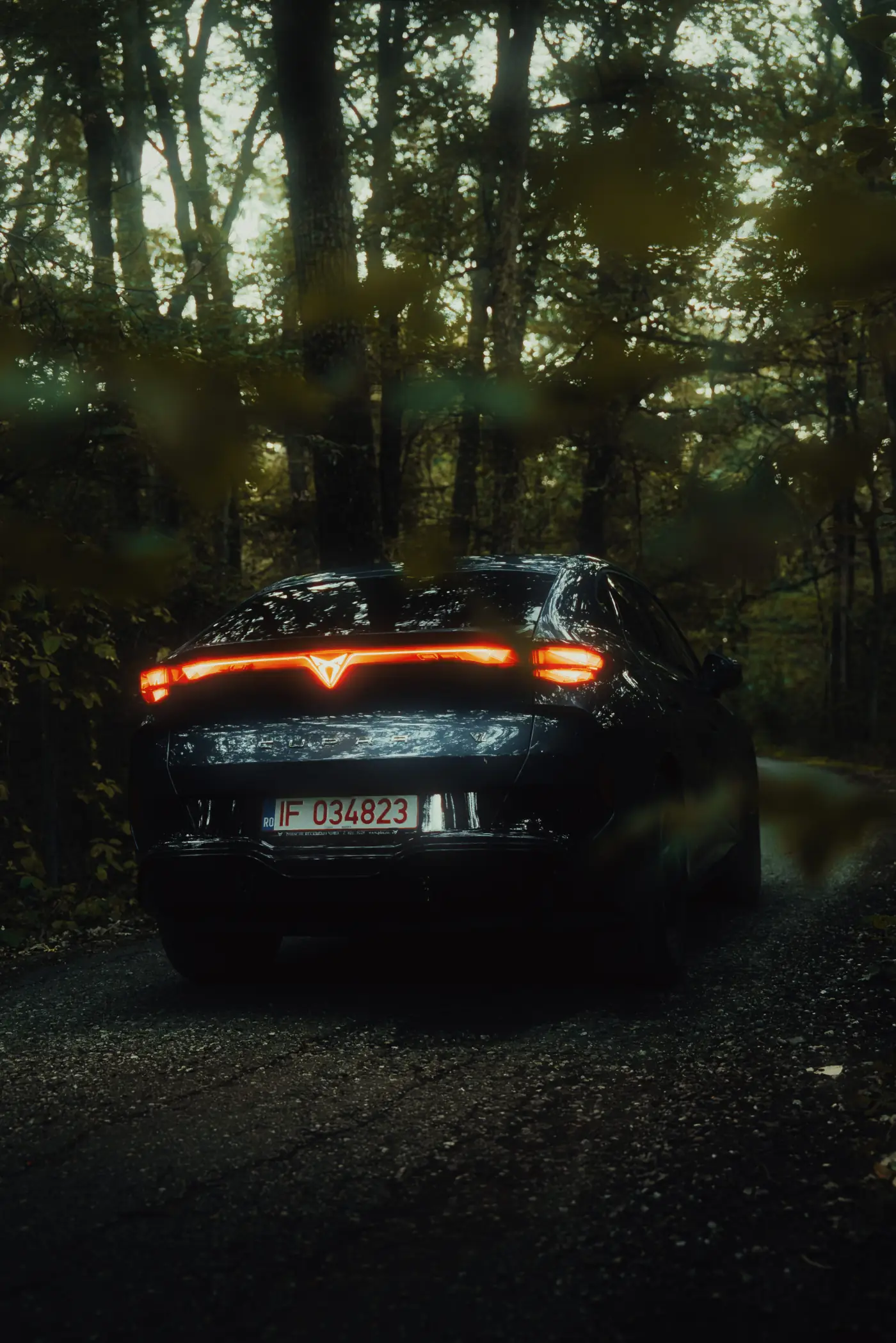 Cupra Tavascan - front detail through trees